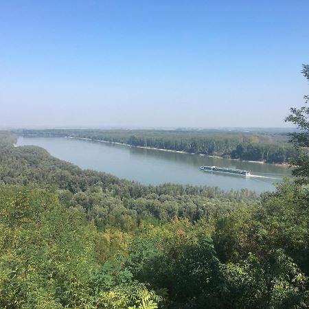 Kuca Za Odmor Brzica Erdut Villa Exterior foto