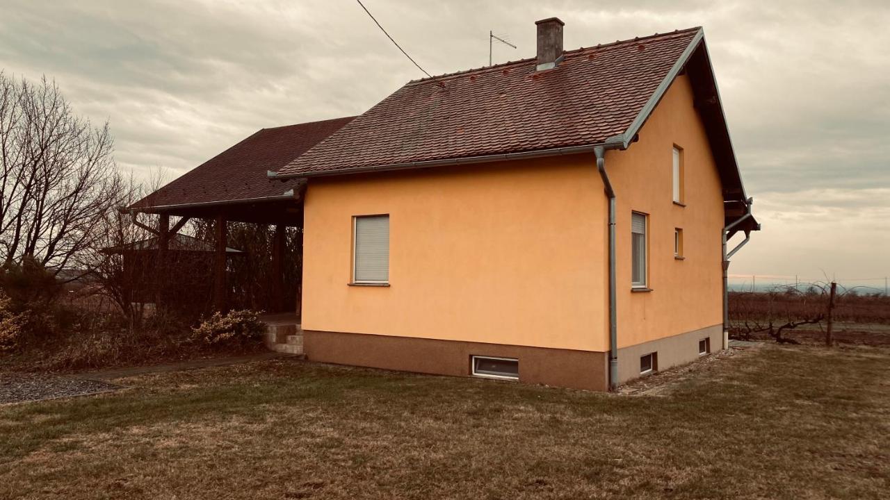Kuca Za Odmor Brzica Erdut Villa Exterior foto