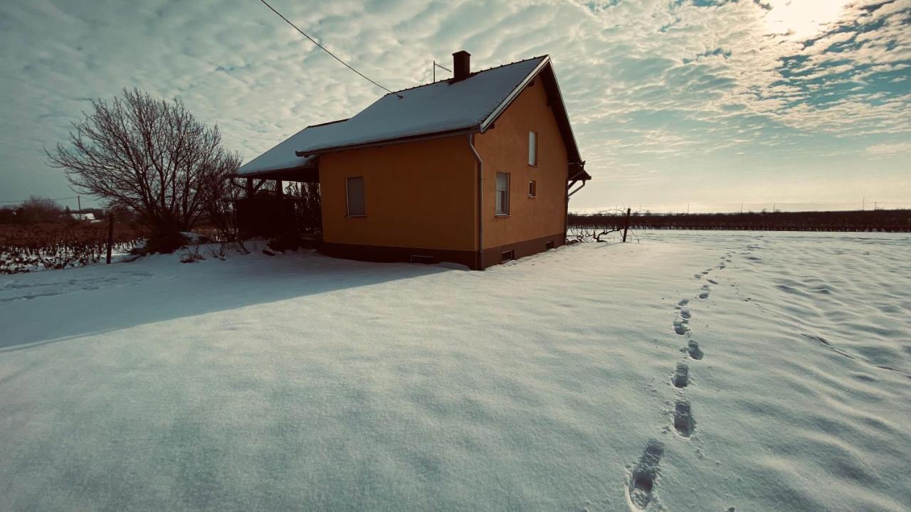 Kuca Za Odmor Brzica Erdut Villa Exterior foto