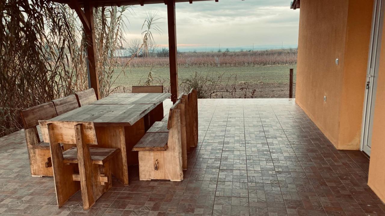 Kuca Za Odmor Brzica Erdut Villa Exterior foto